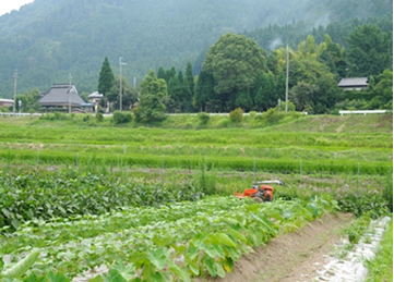 無肥料栽培で農業を始める