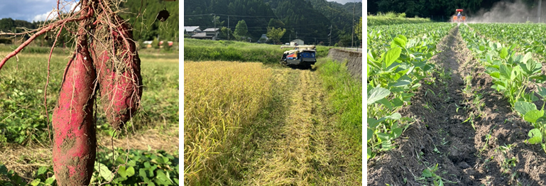 移住してよかったと感じるのはどんな時か