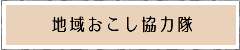 地域おこし協力隊