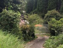 New! No528.日吉町畑郷の物件　880万円