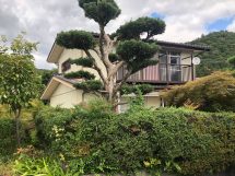 New! No532.八木町日置の物件　月額 40,000円