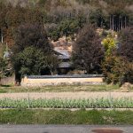 New！No553.八木町日置の物件　500万円