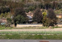 New！No553.八木町日置の物件　500万円